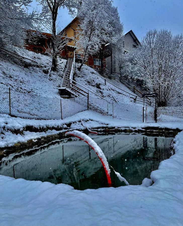 Садиба "У Туза" Vorochta Buitenkant foto